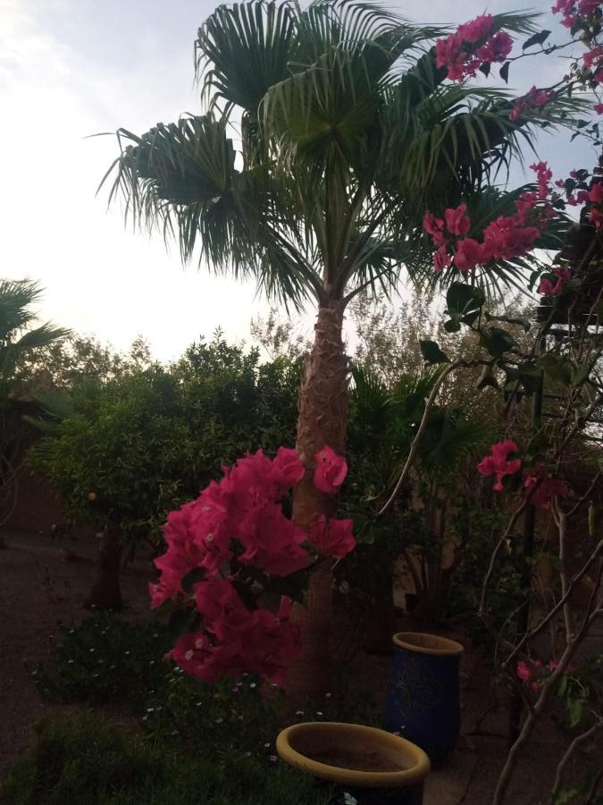 Auberge Bassou Nkob Εξωτερικό φωτογραφία
