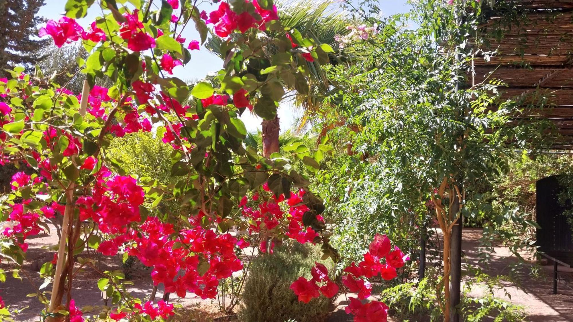 Auberge Bassou Nkob Εξωτερικό φωτογραφία